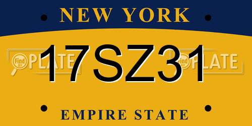 17SZ31 New York License Plate