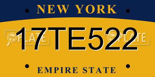 17TE522 New York License Plate