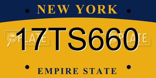 17TS660 New York License Plate