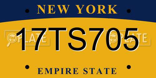 17TS705 New York License Plate