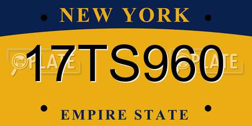17TS960 New York License Plate