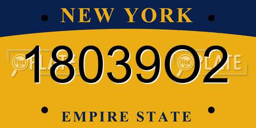18039O2 New York License Plate