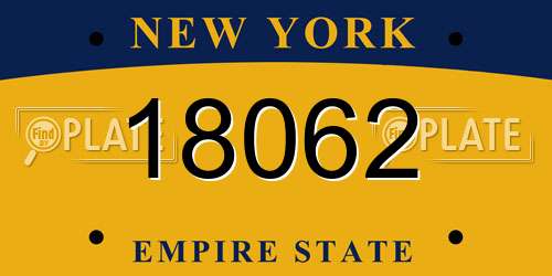 18062 New York License Plate