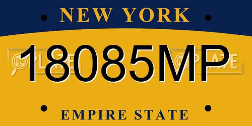 18085MP New York License Plate