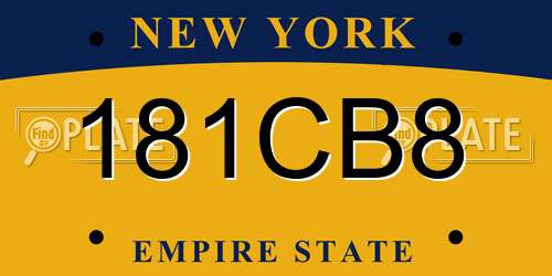 181CB8 New York License Plate