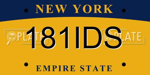 181IDS New York License Plate