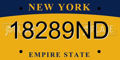 18289ND New York License Plate