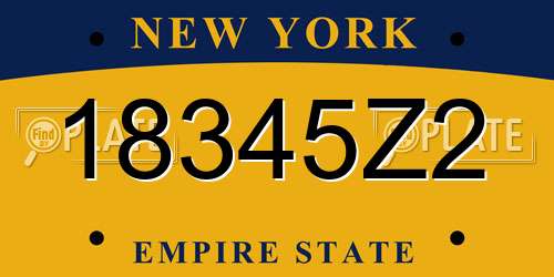 18345Z2 New York License Plate