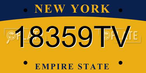 18359TV New York License Plate