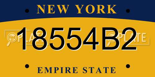 18554B2 New York License Plate