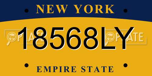 18568LY New York License Plate
