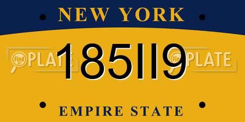 185II9 New York License Plate