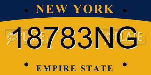18783NG New York License Plate