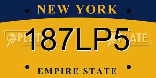 187LP5 New York License Plate