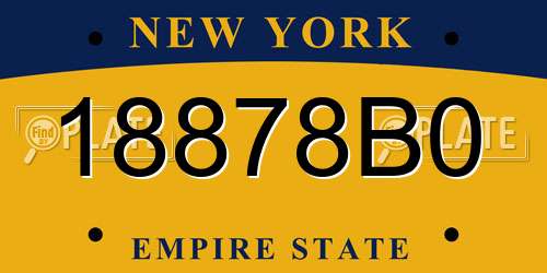 18878B0 New York License Plate