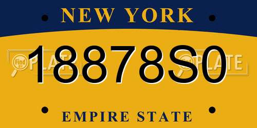 18878S0 New York License Plate