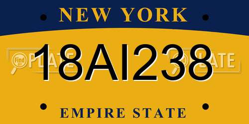 18AI238 New York License Plate