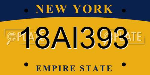 18AI393 New York License Plate