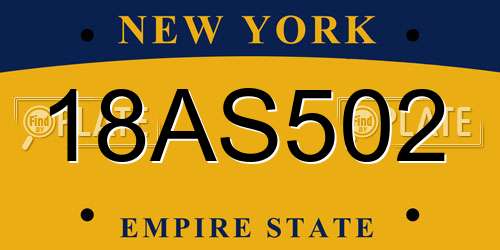 18AS502 New York License Plate