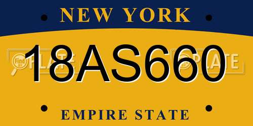 18AS660 New York License Plate