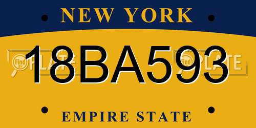 18BA593 New York License Plate