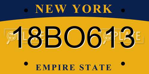 18BO613 New York License Plate