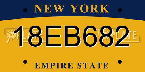 18EB682 New York License Plate