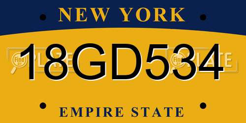 18GD534 New York License Plate