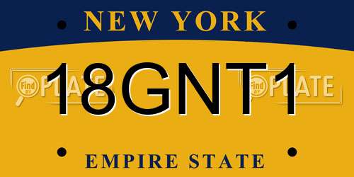 18GNT1 New York License Plate