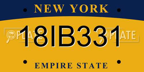 18IB331 New York License Plate