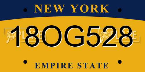 18OG528 New York License Plate