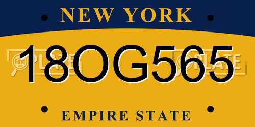 18OG565 New York License Plate