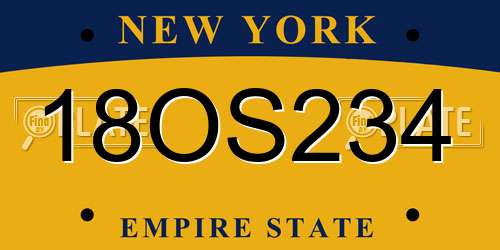 18OS234 New York License Plate