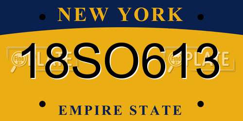18SO613 New York License Plate
