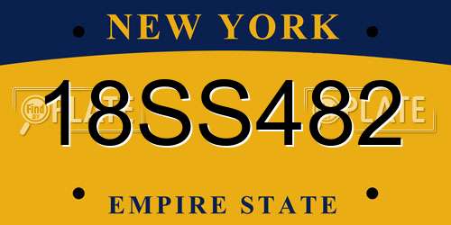 18SS482 New York License Plate