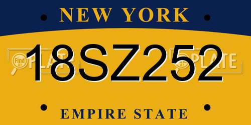 18SZ252 New York License Plate