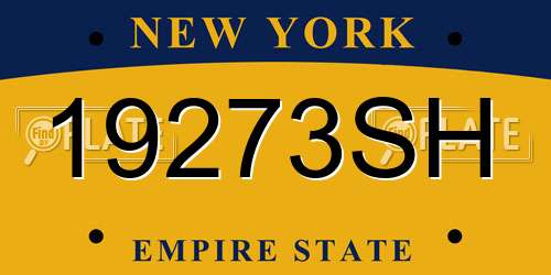 19273SH New York License Plate