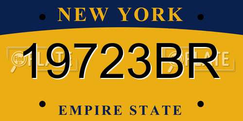 19723BR New York License Plate