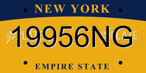 19956NG New York License Plate