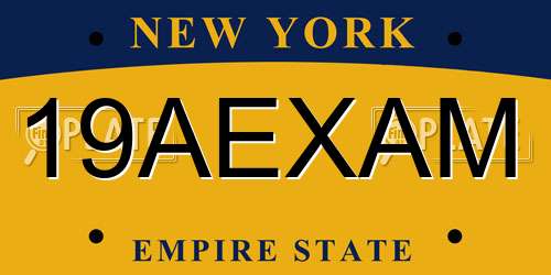 19AEXAM New York License Plate