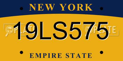 19LS575 New York License Plate