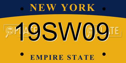 19SW09 New York License Plate