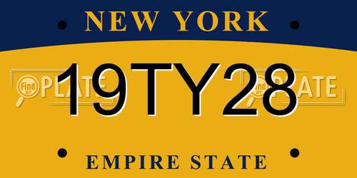 19TY28 New York License Plate