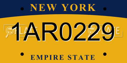 1AR0229 New York License Plate