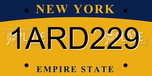 1ARD229 New York License Plate