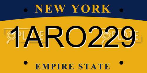 1ARO229 New York License Plate
