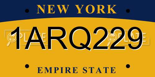 1ARQ229 New York License Plate