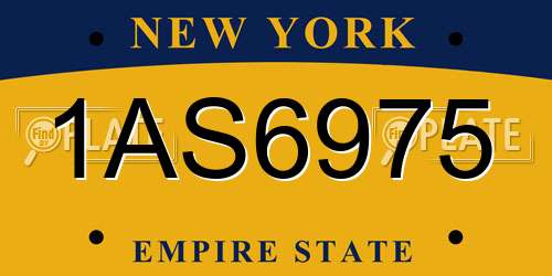 1AS6975 New York License Plate