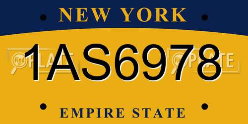 1AS6978 New York License Plate