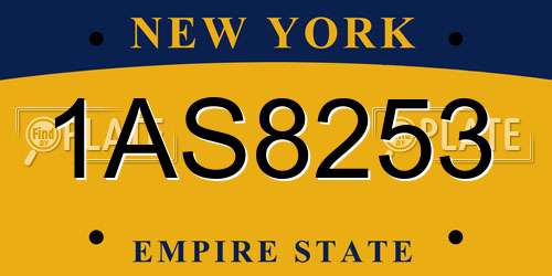 1AS8253 New York License Plate